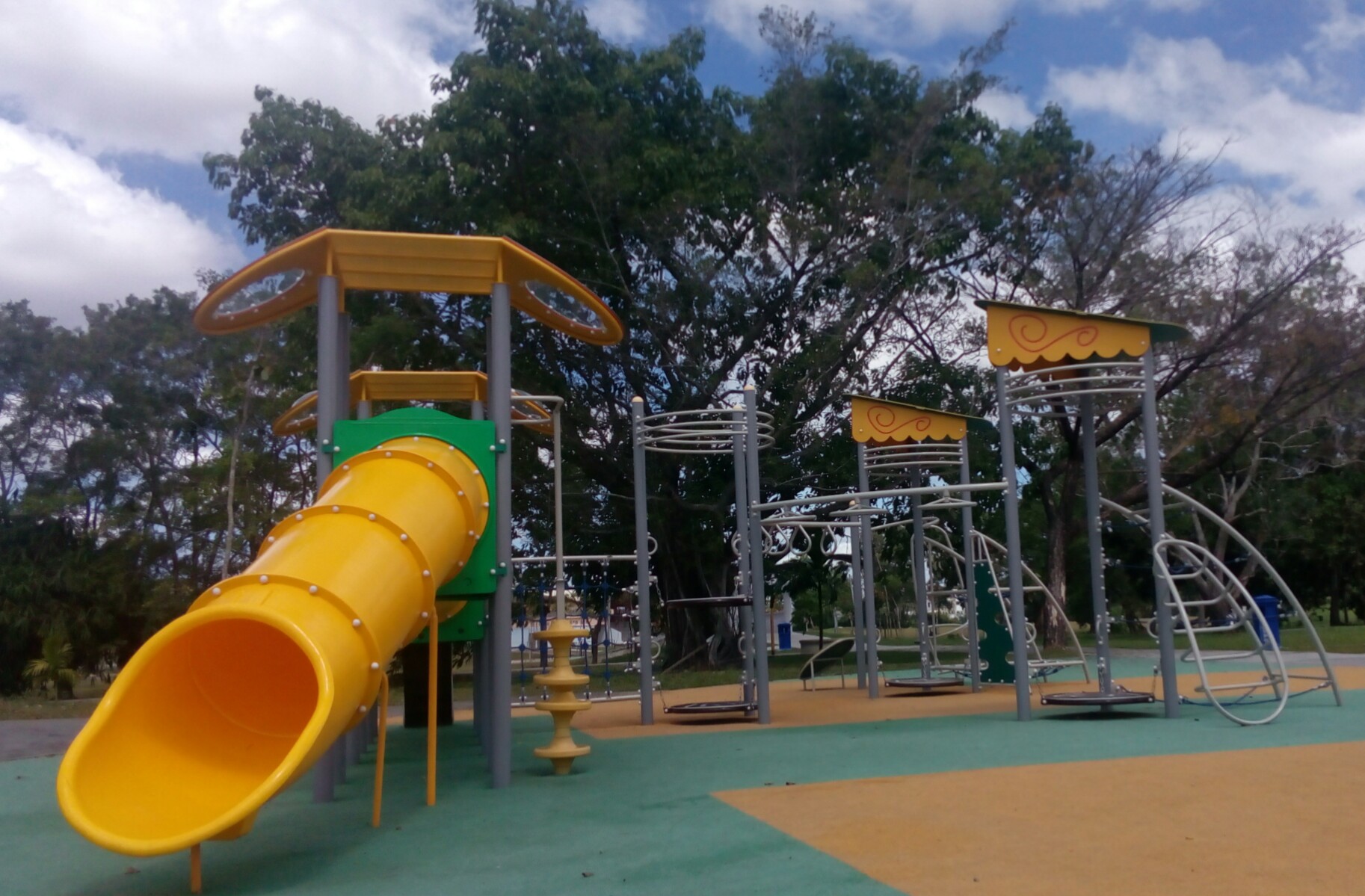 Image 4