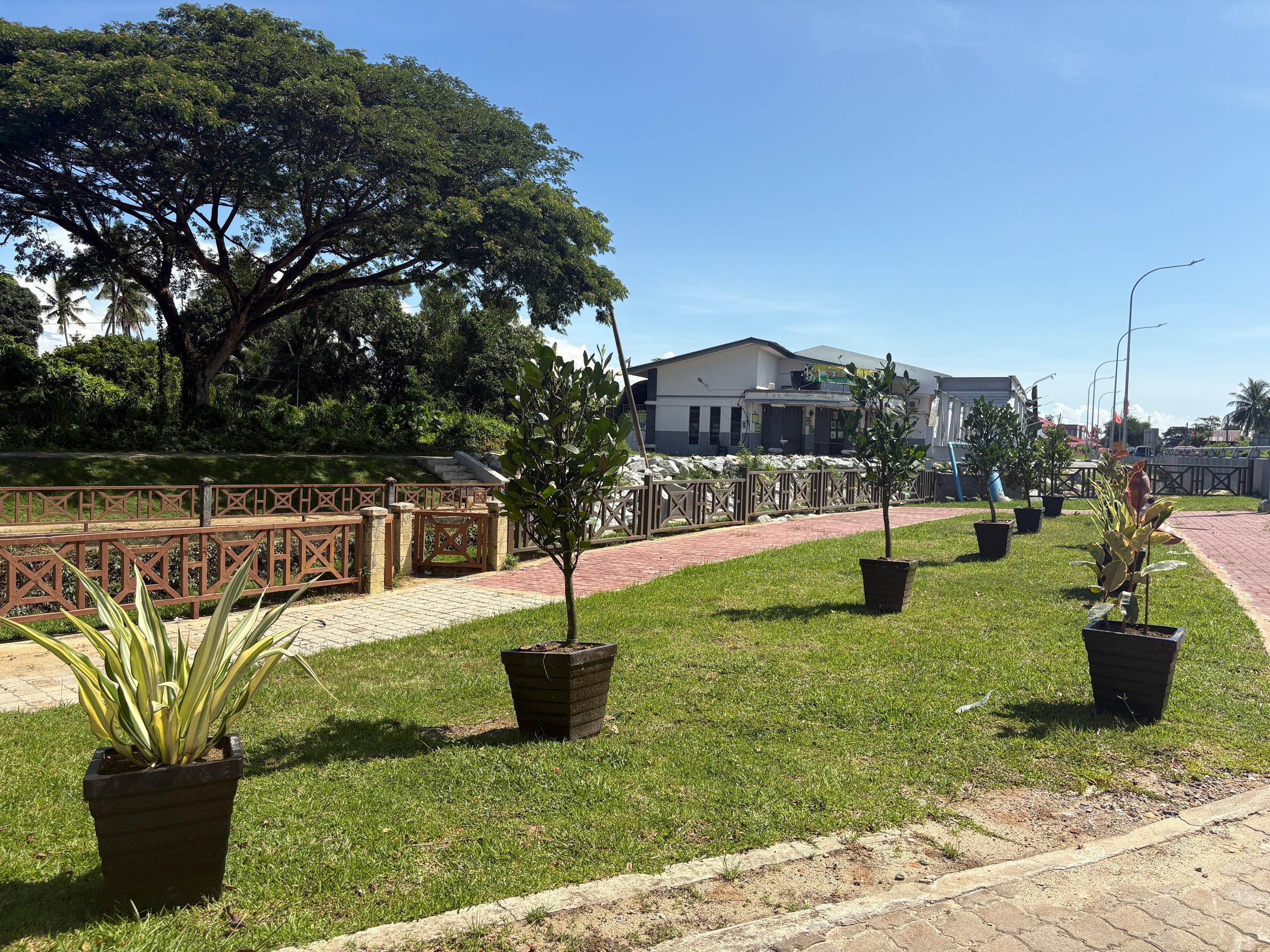 Image 6